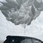 Balon Burung Merpati