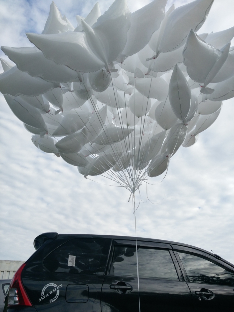 Balon Burung Merpati
